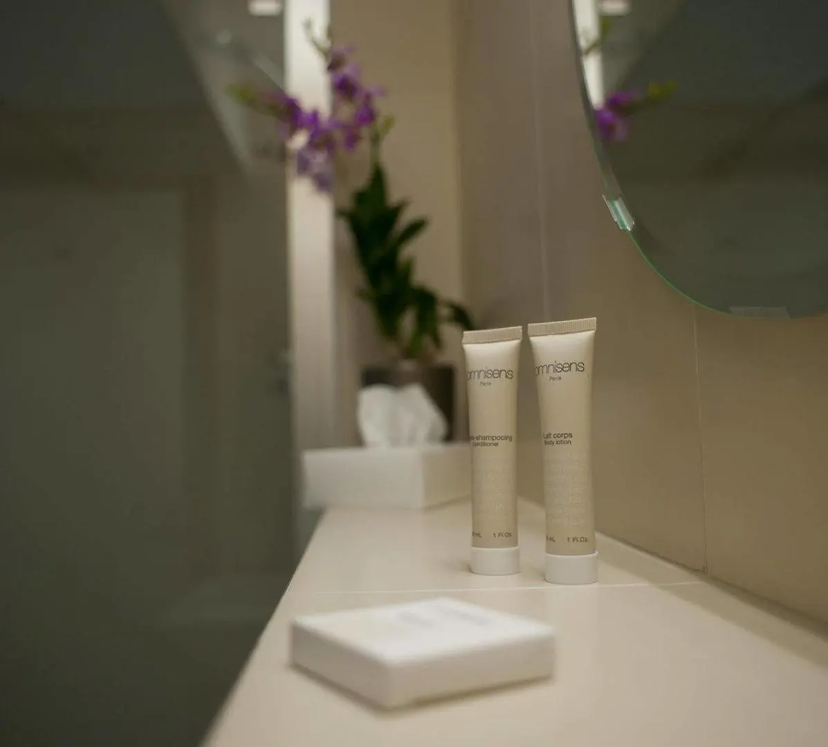 Chamois D'Or Hotel Les Gets Francia